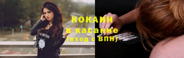 мяу мяу мука Горно-Алтайск