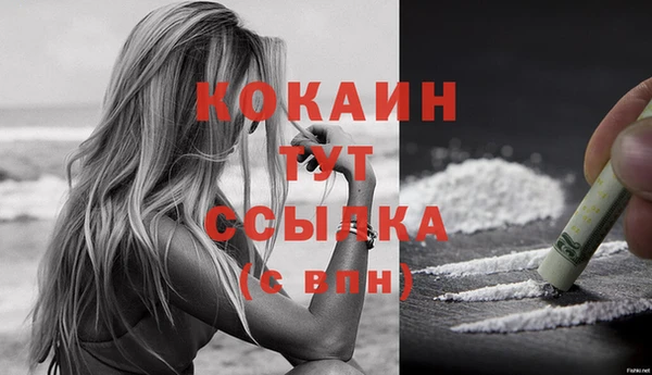 мяу мяу мука Горно-Алтайск
